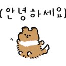 레디에이트(RADIATE) 이미지