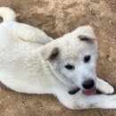 장순농장 이미지