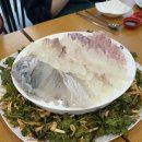 김재훈고사리육개장, 빵귿, 쌈총사횟집, 오는정김밥, 하람이네김밥, 유동커비, 목포고을, 제주어멍 통갈치
