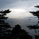 한국 IMV 에스카사