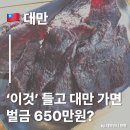 송산축산 | 육포 때문에 대만입국 벌금 650만원/대만 입국금지 상품 총정리 2025년 ver.