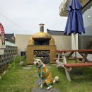 내가 품은 Dog 이미지