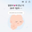 또리커피마산 | ꒰지빵로그30• 임산부의 일주일!꒱