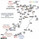 공룡발톱 이미지