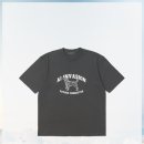 와우애견 이미지