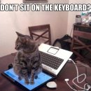 마! 주인 이미지