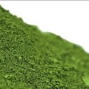 모아그린방 이미지