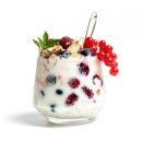 그릭요거트( Greek Yogurt)