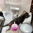 대곡동물병원 이미지