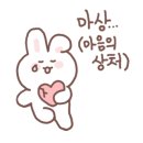 고양이호텔 묘랑묘랑 이미지