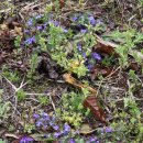 금창초교 이미지