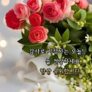 좋은날 - 동구 우암로 168-5 | 좋은날