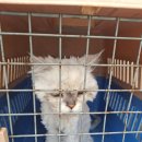 중곡1로 이미지