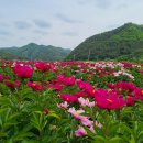 예안농장 이미지