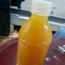 완산-91 이미지