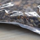 여울목 아쿠아 이미지