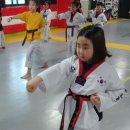 나우GN태권도장 이미지