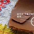 에그몽 이미지