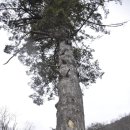 마천면사무소 이미지