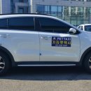 펫택시콜 이미지