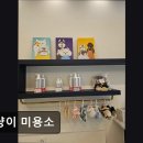 댕냥이 미용소 네이버블로그