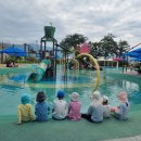 원조소문난밀양돼지국밥 이미지