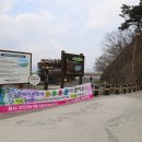 유룡농장 Daum카페