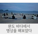 완도 해양 치유 프로그램 후기 | 1박2일 8만원으로 즐긴 체험