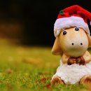 양포초등 병설 이미지