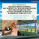 우정진도개 | 국내 단체 여행 전문 새늘투어 / 전라남도 진도로 당일여행