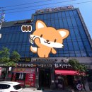 뉴대보스파 네이버블로그