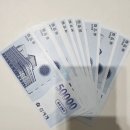 14. 눈물나는 대구 신세계 뉴미니, 25백 미니 구매 후기 + 결제 할인 및 오픈런 팁 총정리