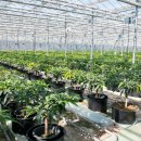 승기농장 이미지