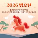다옴세무회계 네이버블로그