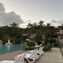 해밀톤수영장(실외) 이미지