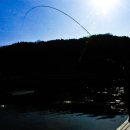 도곡낚시터 이미지