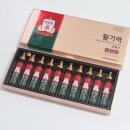 해나식품 | 가성비 홍삼 건강식품 후기 정관장 활기력