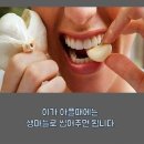 알아두면 유익한 정보 이미지