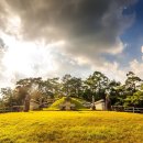 영조 세탁 이미지