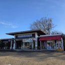 하남초(해바라기공원1) | 제주항파두리 항몽유적지 삼별초 항쟁유적지 역사여행 해바라기 명소