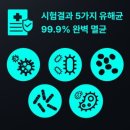 전원세탁소운동화 | 신발 건조기 추천 보아르 슈즈쏙 열풍 살균으로 장마철 눈 비오는날 운동화 냄새 제거한 후기