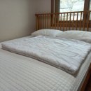 쫑이와메리 이미지