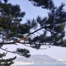 암남공원 이미지