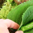 먹어바 뒷고기 이미지