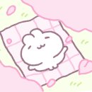 모모스칼프 - 남동구 | 모모스칼프