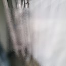 경진초등학교 이미지