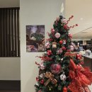 샤브더맛집 | 호텔식 샤브뷔페 샤브더차린 일산 가로수길맛집 솔직후기