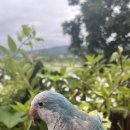 오석헌동물병원 이미지