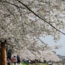 (주)배성 이미지