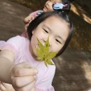 7살들 숲체험(꽃잎/하늘) 이미지